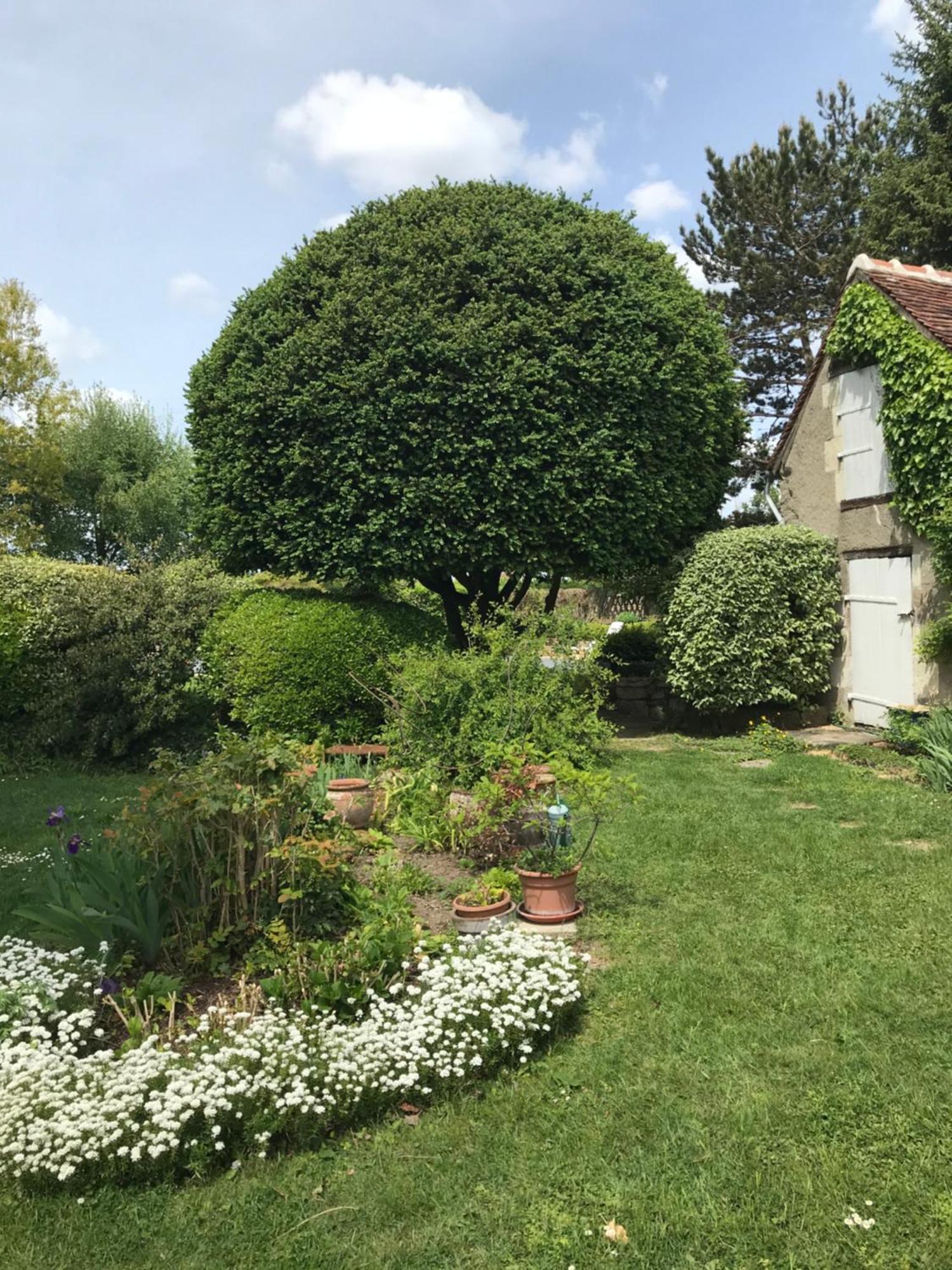 La Mauverniere, 2 Gites Independants, 1 Grande Piscine Exterieure, Jardin Arbore Descartes Exteriör bild