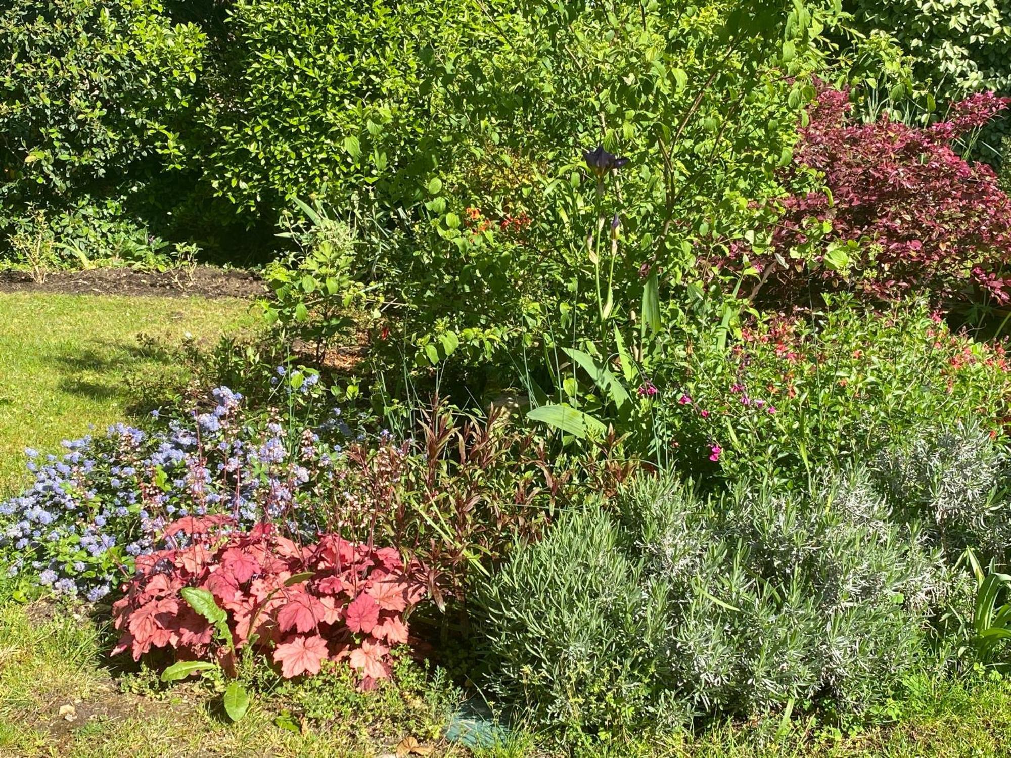 La Mauverniere, 2 Gites Independants, 1 Grande Piscine Exterieure, Jardin Arbore Descartes Exteriör bild
